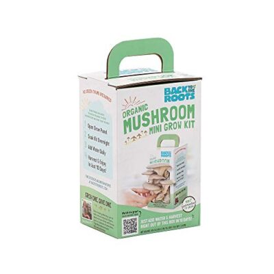 Back to the Roots Organic Mini Mushroom Grow Kit, Harvest Gourmet Oyster Mushrooms In 10 days, Top Gardening Gift, Holiday Gift, & Unique Gift - Image 3