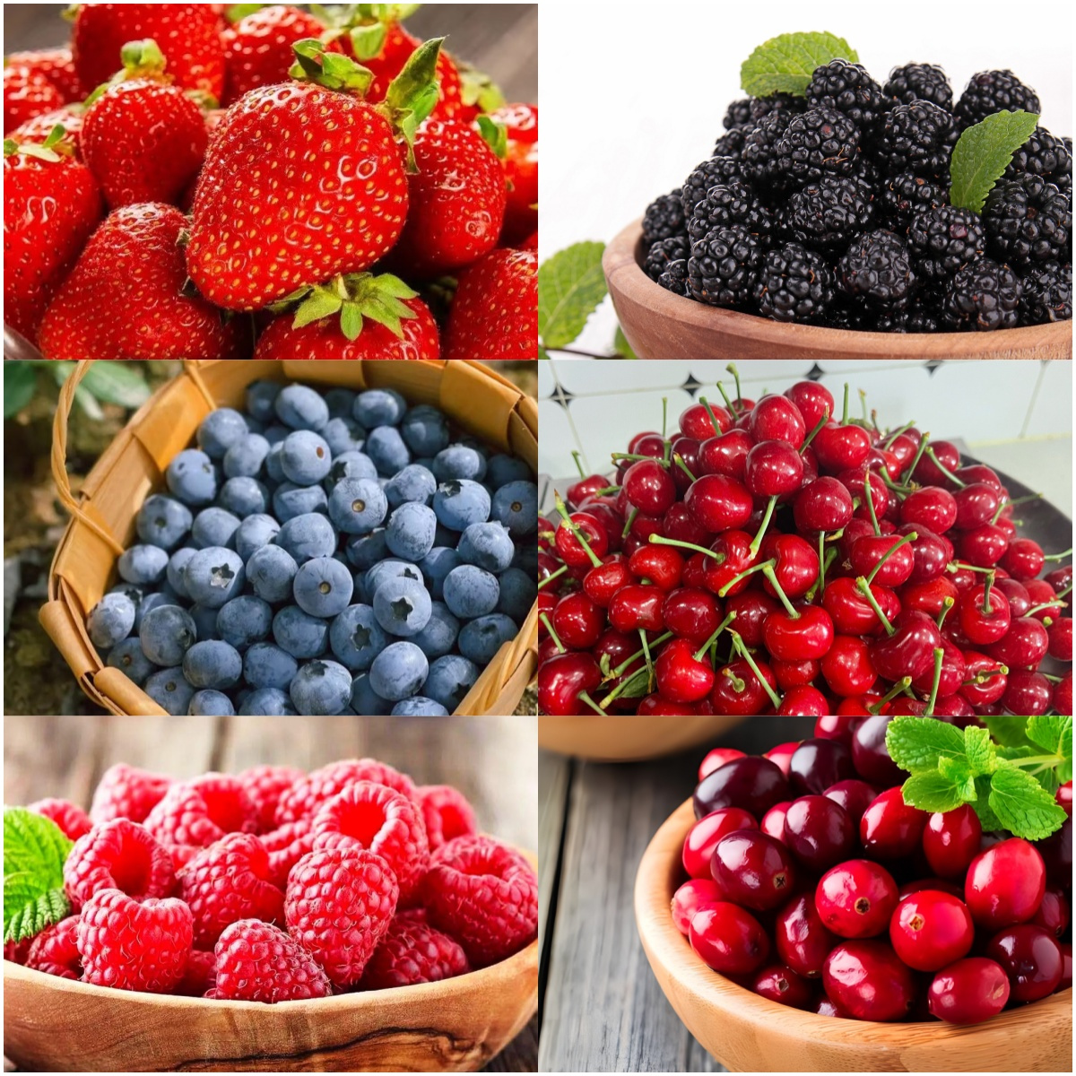 1500 Fruit Seeds Variety Pack 6 Types – Easy to Grow Yard Firm – High Yield – 400pcs Strawberry, 200pcs Blueberry, 300pcs Raspberry, 300pcs Mulberry, 200pcs Cranberry,20 Cherry